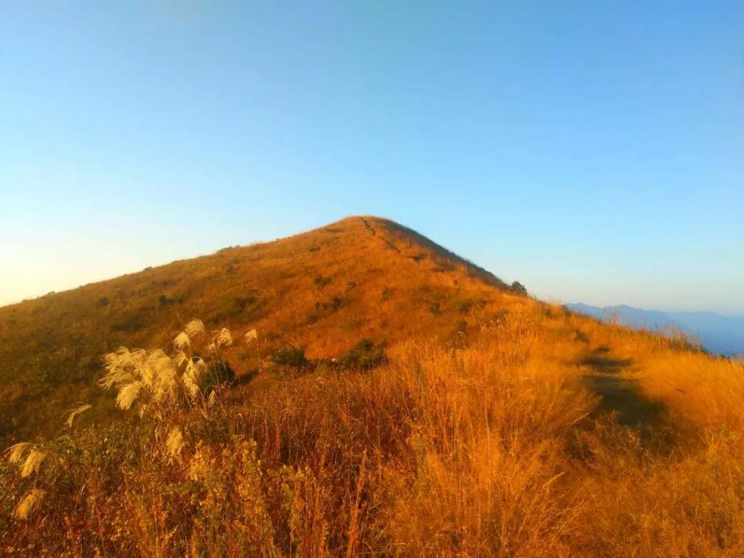 11月24日首届搁船尖“决胜光明顶” 千亩草甸 狂欢迪斯科音乐露营大会